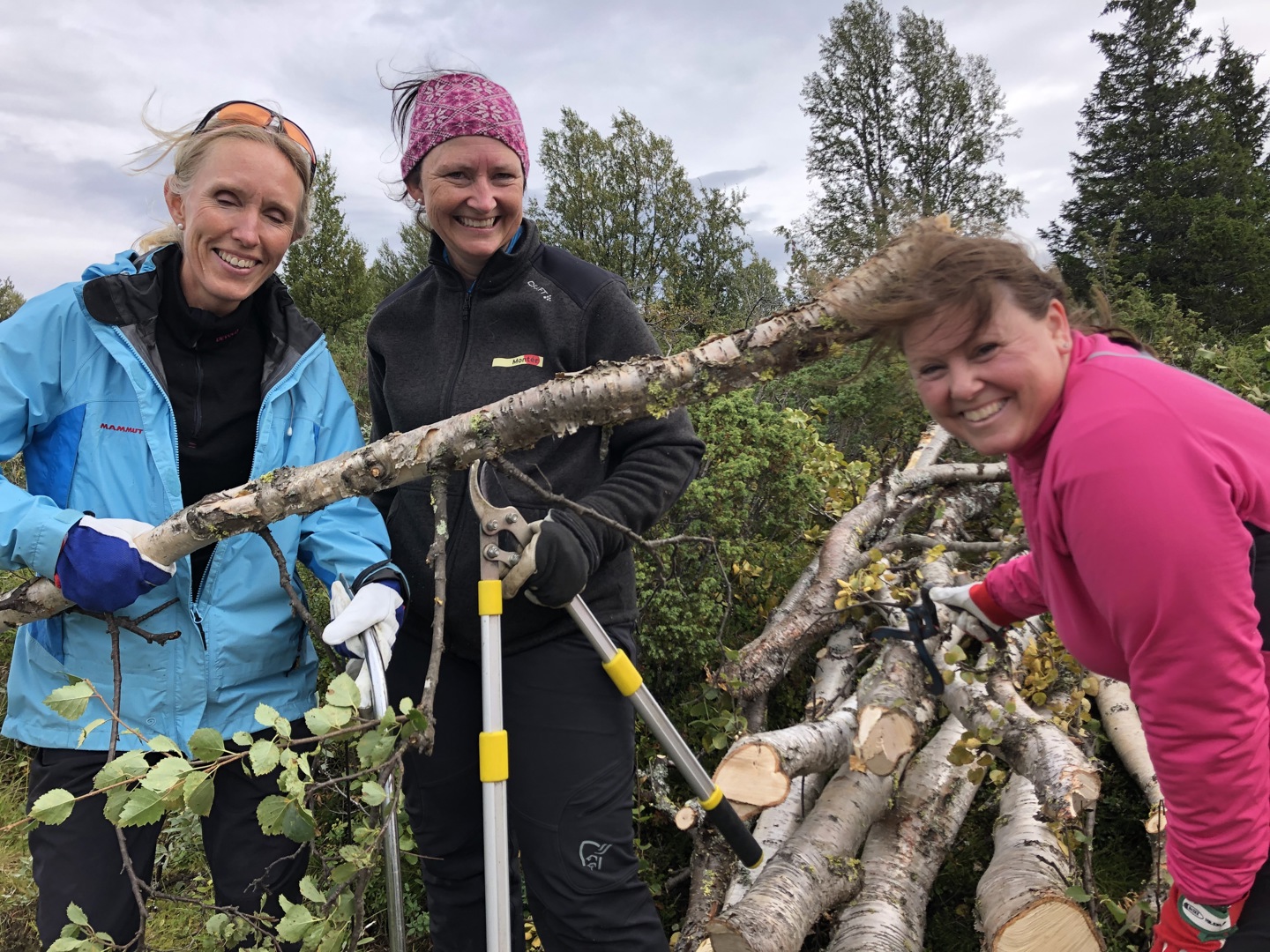 Dugnad mot gjengroing