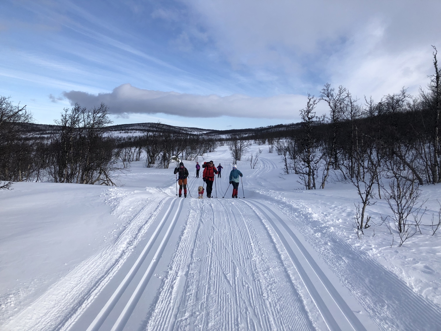 Løypebidrag til skiløyper på Syndin!