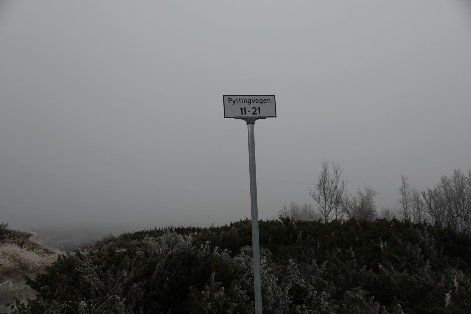 Adresser og husnummer