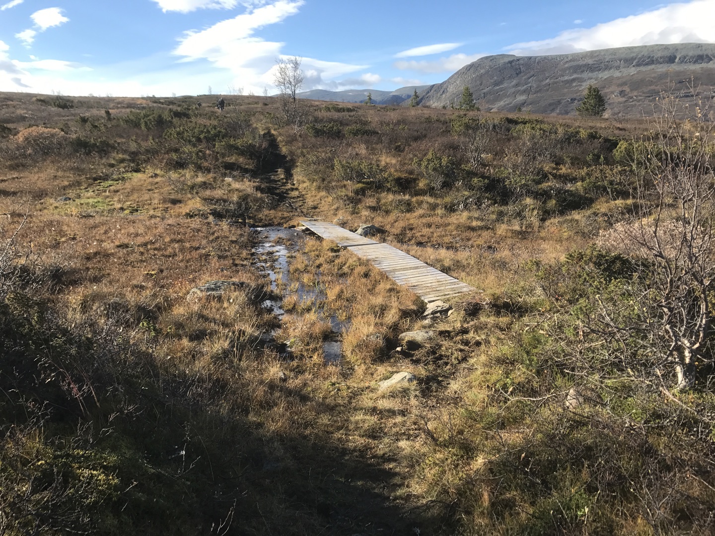 Dugnad på Soleikrostien