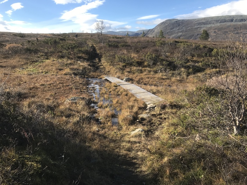 Dugnad på Soleikrostien